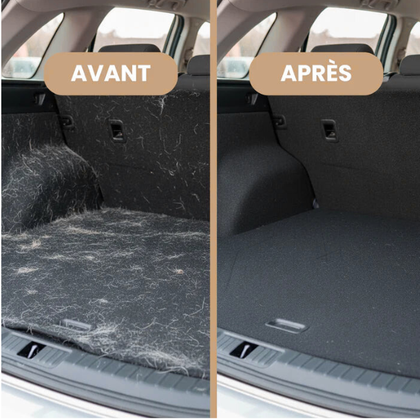 Gant Attrape-Poils Brossy™